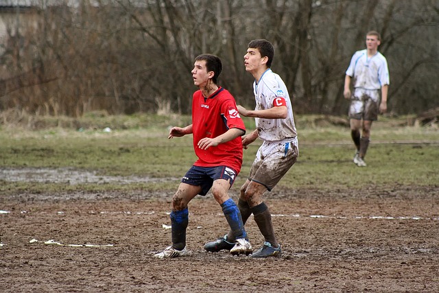 国家队所取 国家队所取