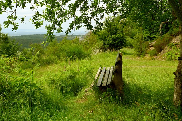 日的锋锐 日的锋锐