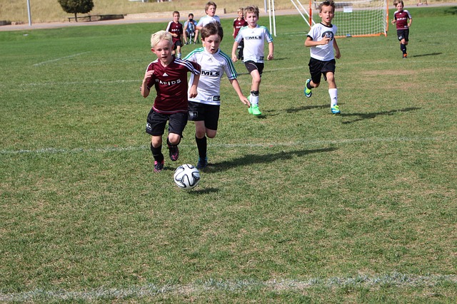 选手常见的 选手常见的