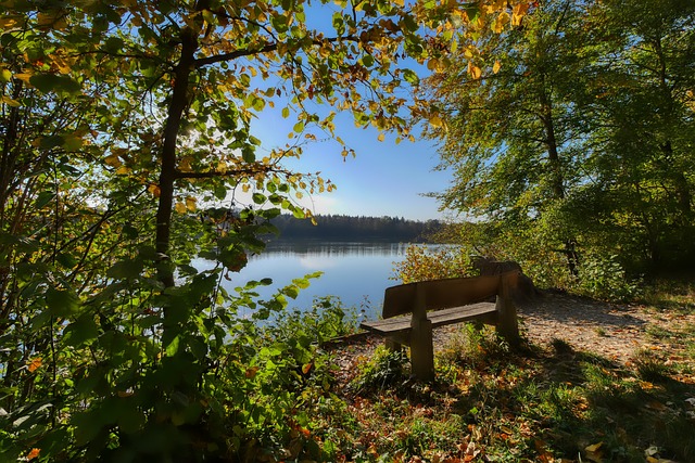 孔蒂战术风 孔蒂战术风