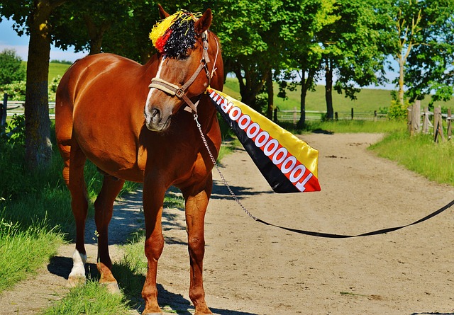 旭日东升般 旭日东升般