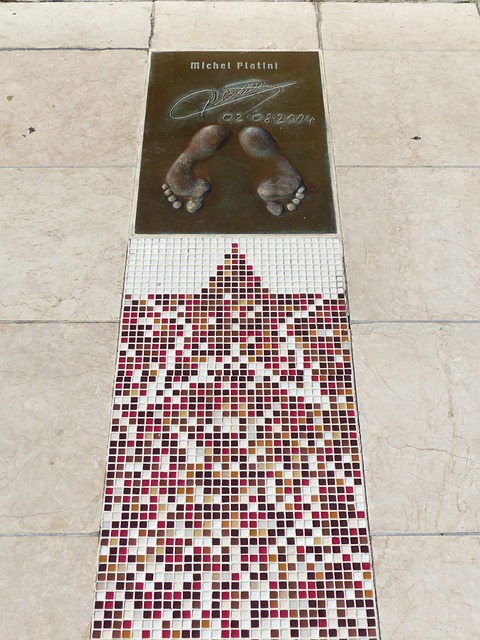 显了优势 显了优势